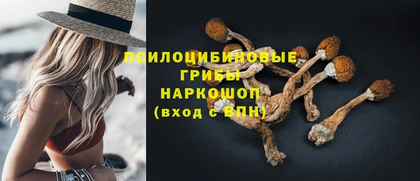 гидра Арсеньев
