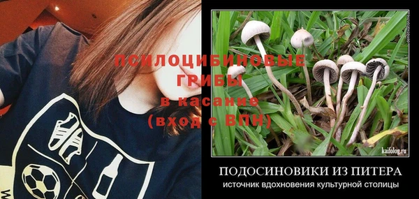 МДПВ Армянск