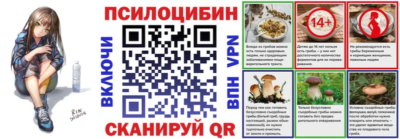 mega как зайти  Никольск  Псилоцибиновые грибы MAGIC MUSHROOMS 